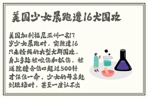 孟若羽TM00080大巴车